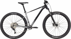 Велосипед Cannondale TRAIL SE 4, 29" рама - XL 2021 GRY чорно сірий