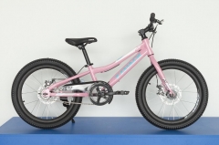 Велосипед Trinx Smart 1.0 20" pink